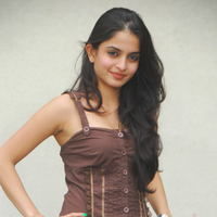 Actress Sheena Shahabadi latest Photos | Picture 46665